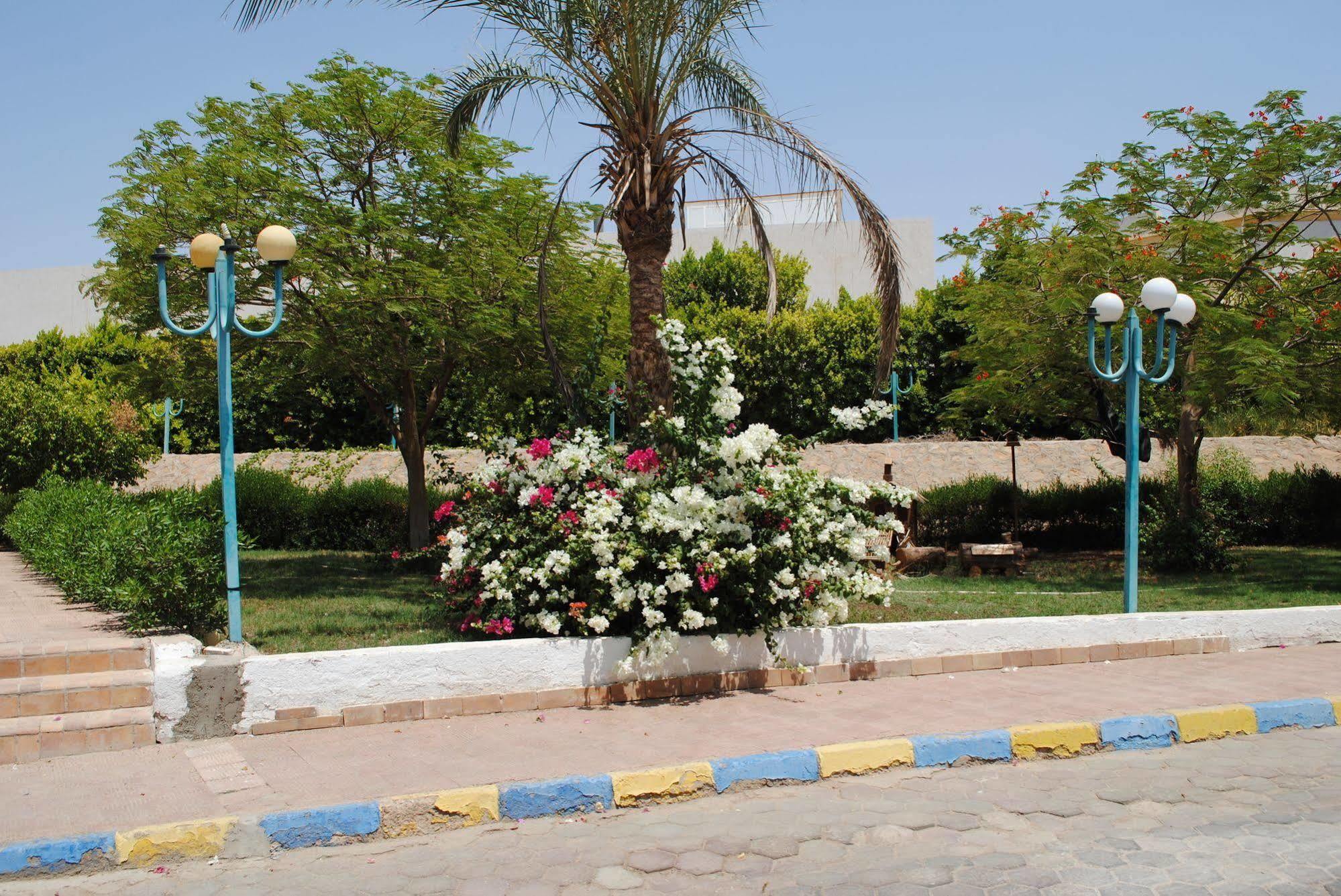 Sharm Cliff Resort Exterior photo